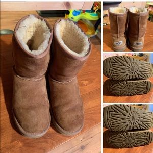 women’s classic chestnut uggs